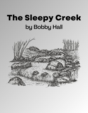The Sleepy Creek - a guitar composition by Bobby Hall